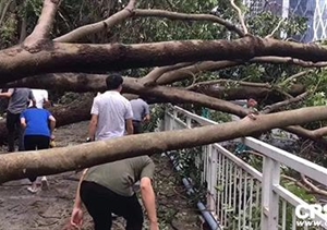 安防與臺(tái)風(fēng)應(yīng)急救援不得不說的兩三事……