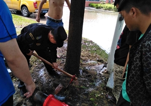 消防栓變成“噴泉” 特保緊急協(xié)助搶險(xiǎn) ——奉浦網(wǎng)格項(xiàng)目隊(duì)員處理