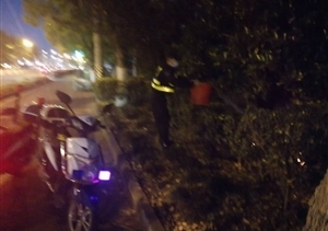 綠化帶失火蔓延  保安施救化險情 ——宗保公司駐惠南鎮(zhèn)園區(qū)派出所