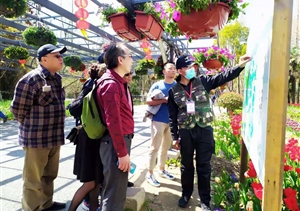 宗保黨員志愿服務(wù)隊全力備戰(zhàn)花博會