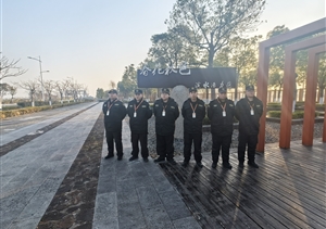 宗保公司駐浦東新區(qū)臨港春花秋色公園項目榮獲2024年度優(yōu)秀團隊稱